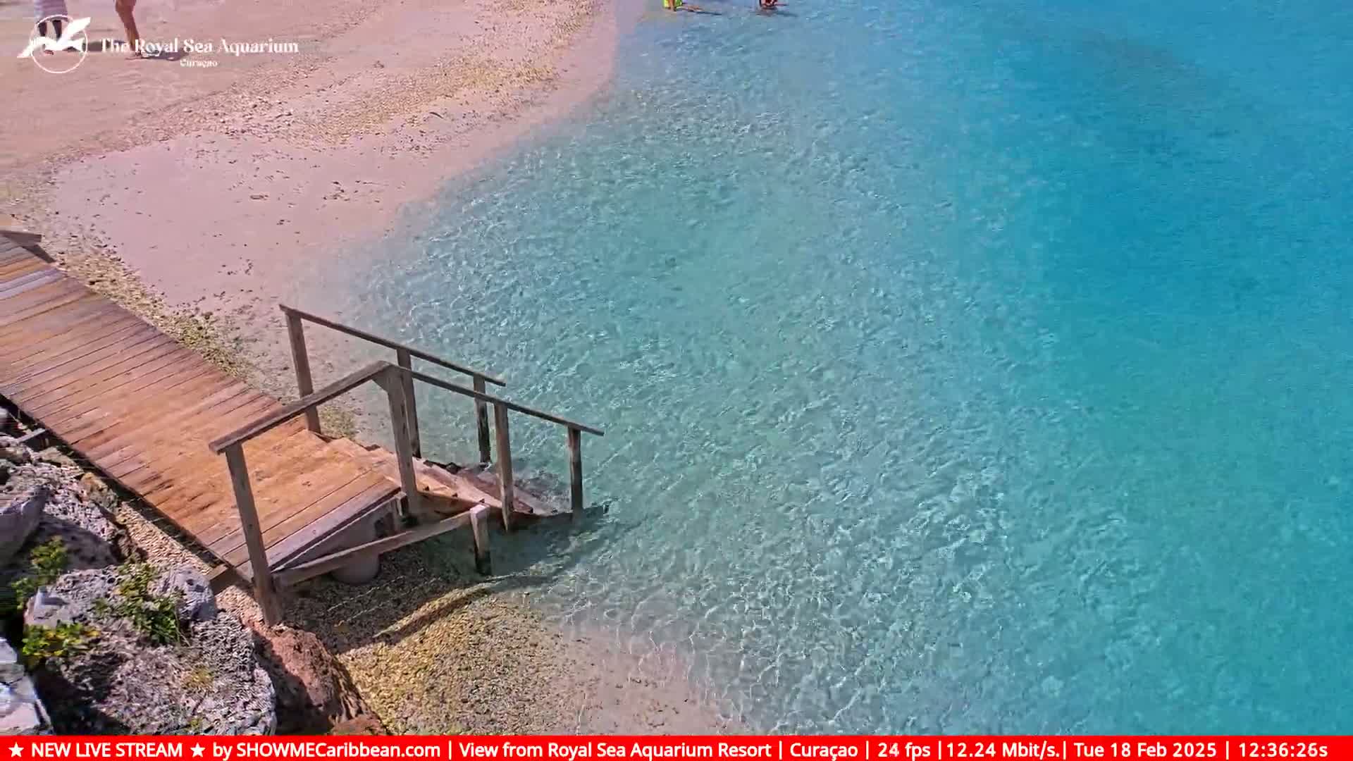 A wooden walkway with steps leads down to a calm, clear turquoise ocean next to a sandy beach.