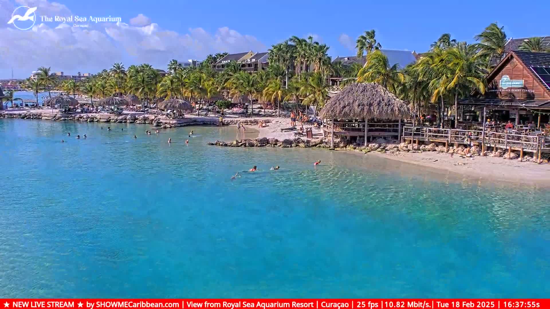 A beach with turquoise water, palm trees, and people swimming and relaxing under a sunny sky.