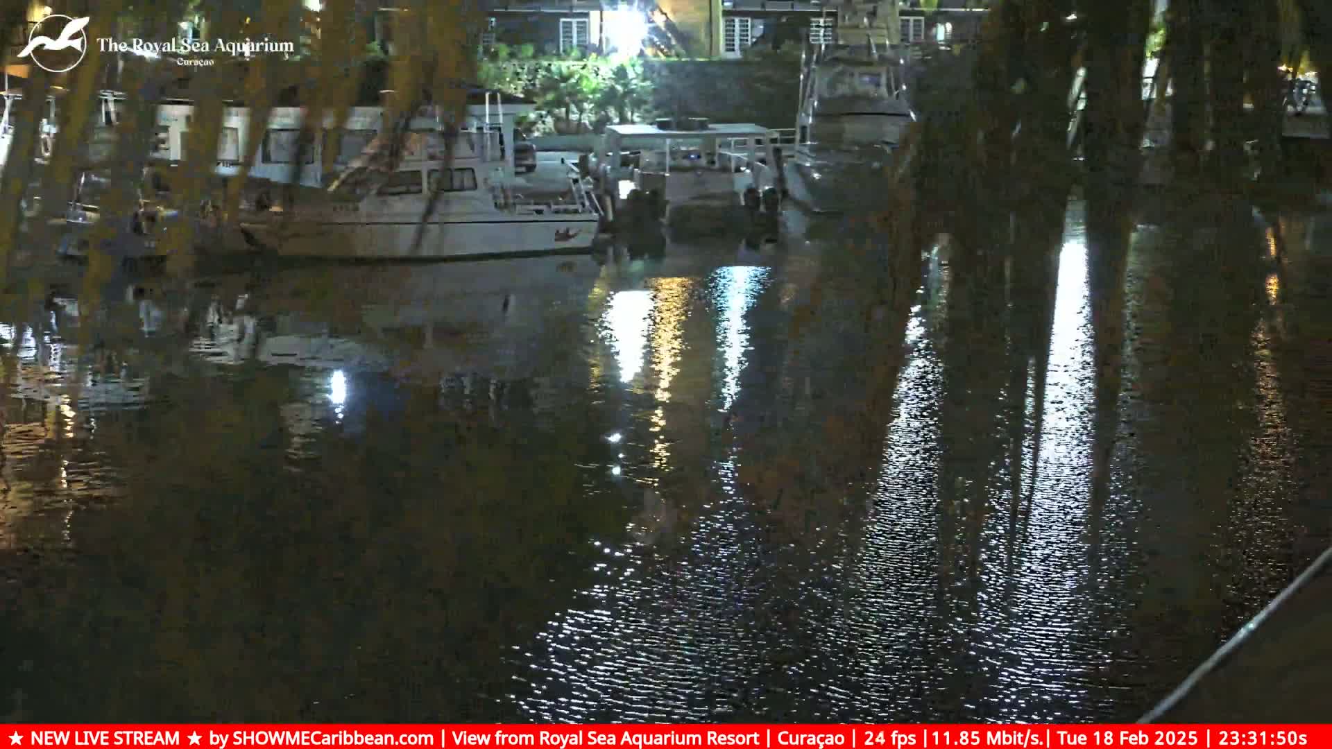 Several boats are moored at a dock at night, their reflections shimmering on the calm water.