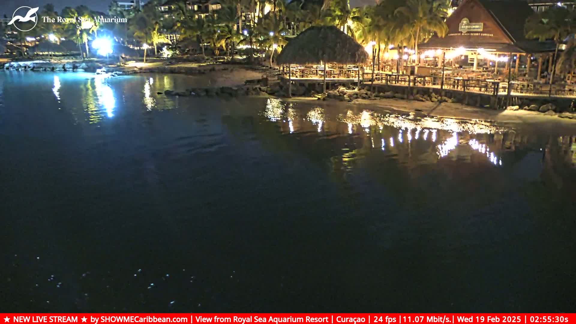 A nighttime view of a calm body of water reflecting the lights of a beachfront restaurant and palm trees.