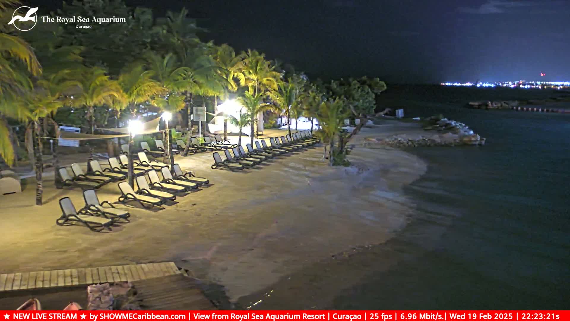 Empty lounge chairs sit on a sandy beach at night next to calm water under palm trees illuminated by artificial lights.