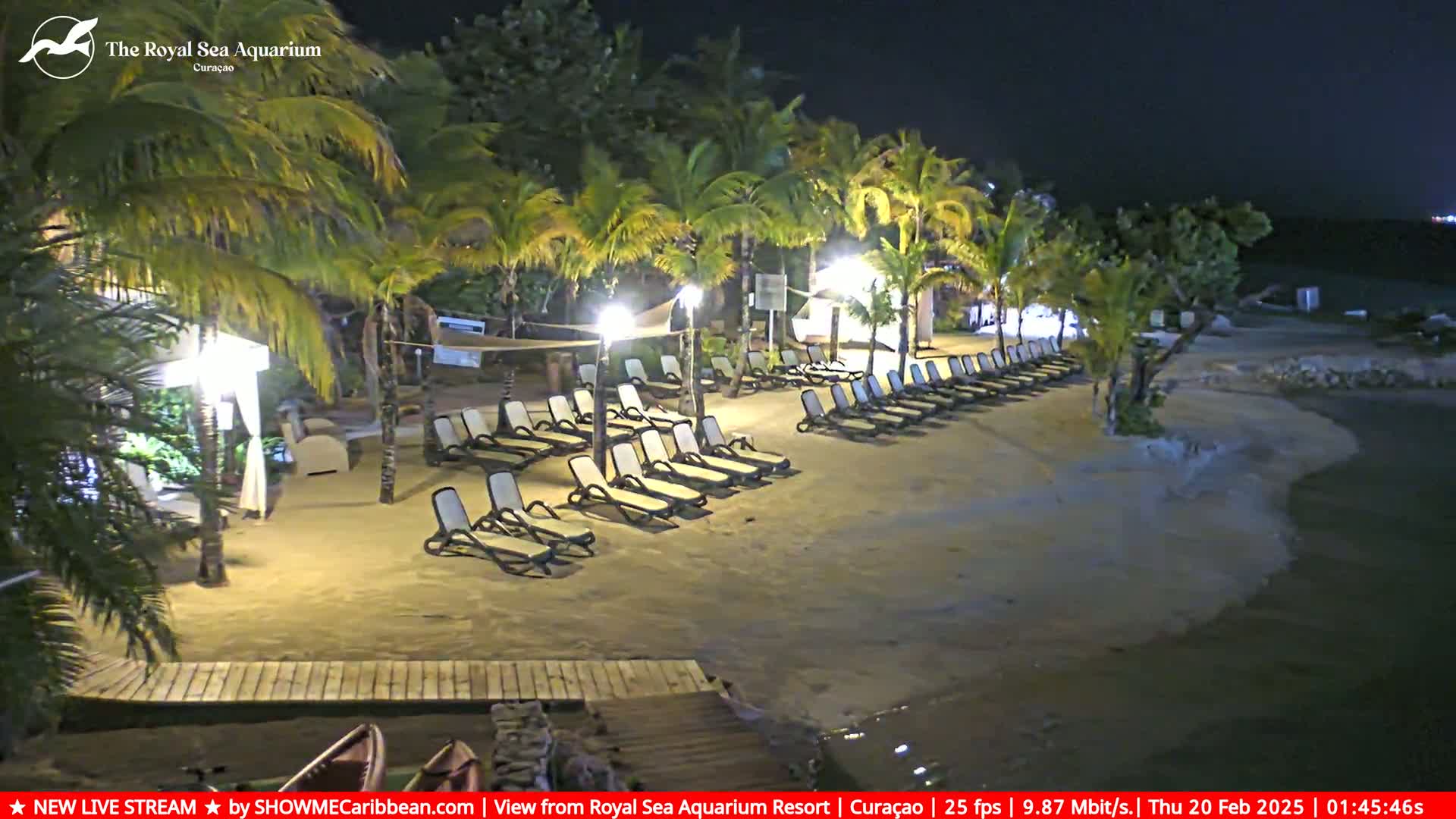 A sandy beach at night, lined with empty lounge chairs under palm trees and lights, next to calm water.