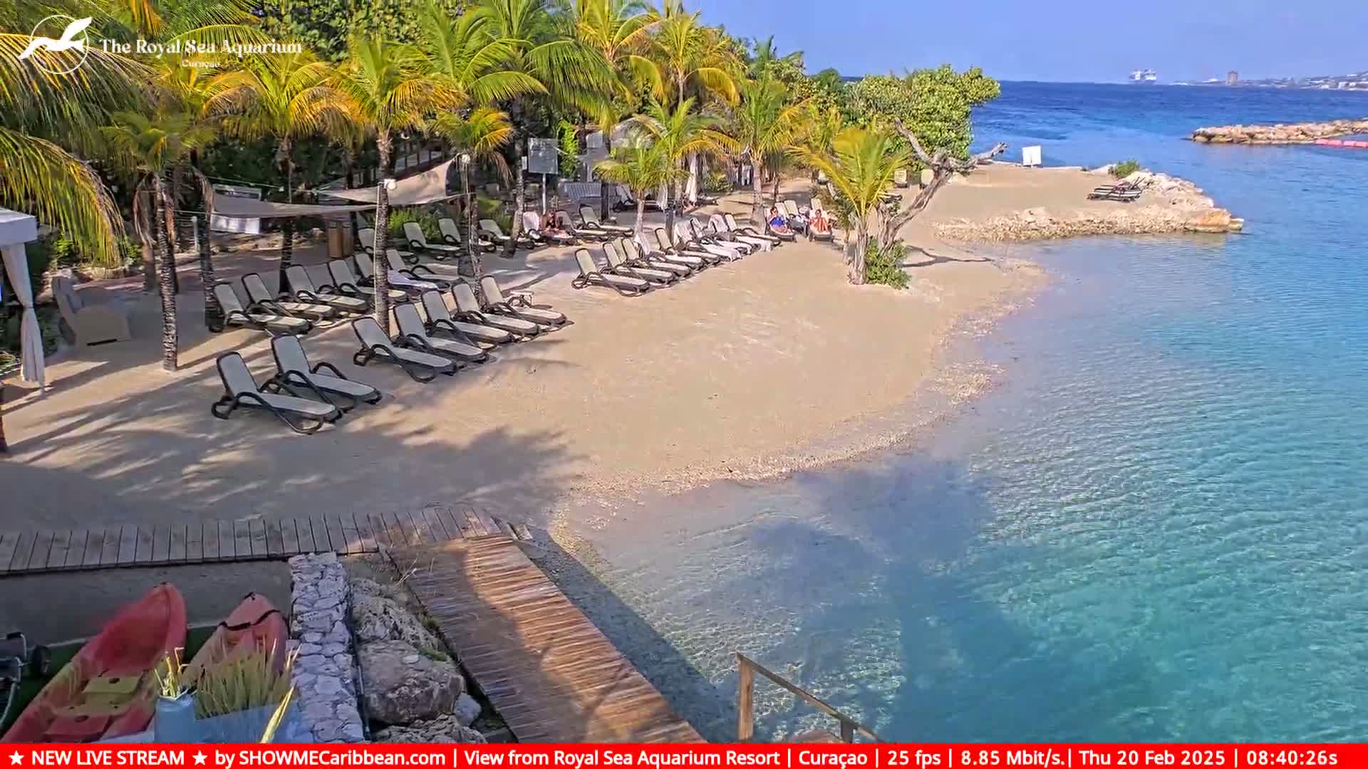 A sandy beach with lounge chairs under palm trees next to clear turquoise water on a sunny day.