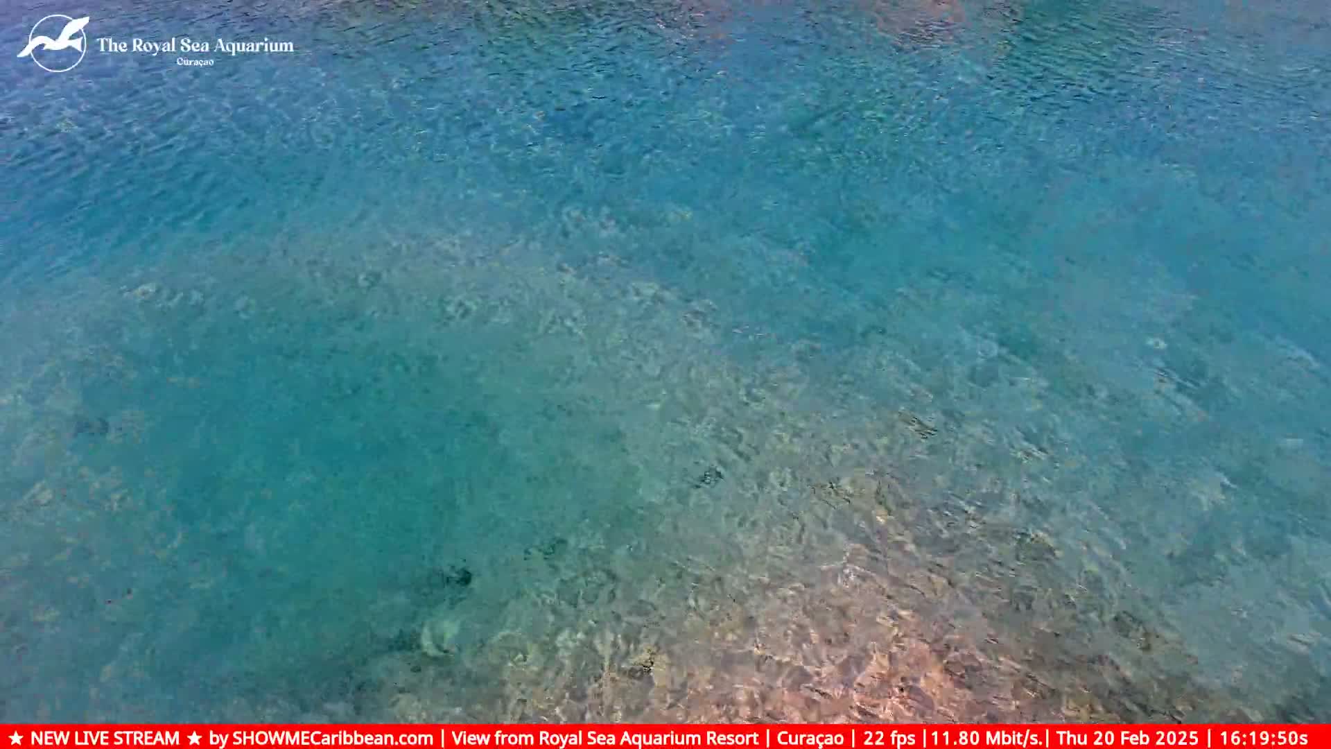 Clear, shallow turquoise water with gentle ripples is visible from an overhead perspective.