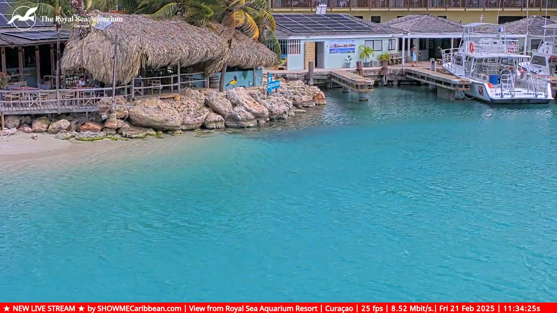 A thatched-roof beachfront bar and restaurant overlooks a calm, turquoise body of water with a docked boat.