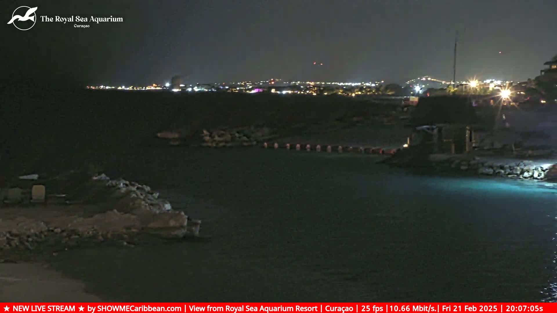 A nighttime coastal scene shows dark, calm water lapping against a rocky shore, with a faintly illuminated city in the distance.