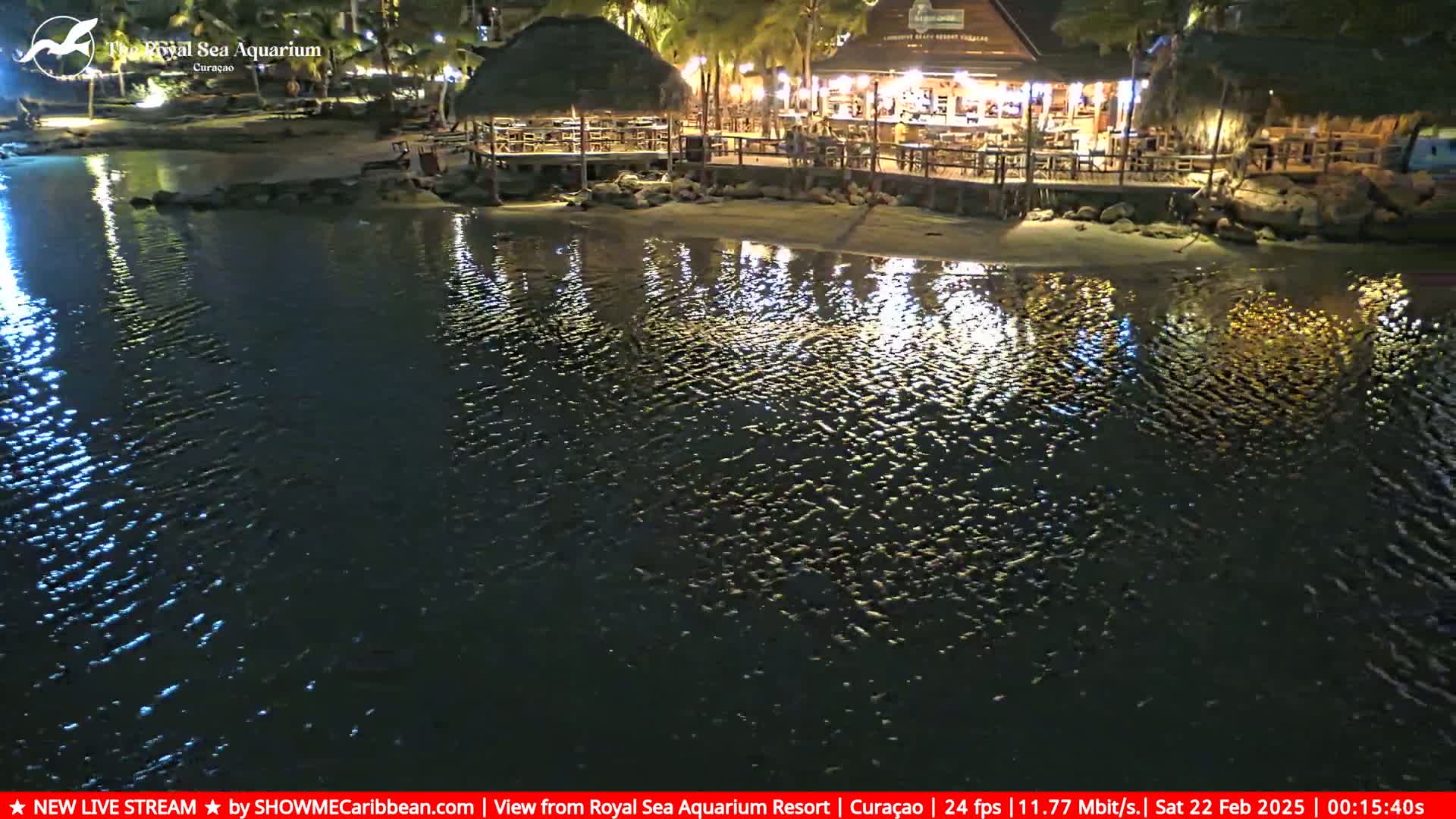 A brightly lit waterfront restaurant with a thatched roof is situated on a sandy shore at night, its lights reflecting on the gently rippling water.
