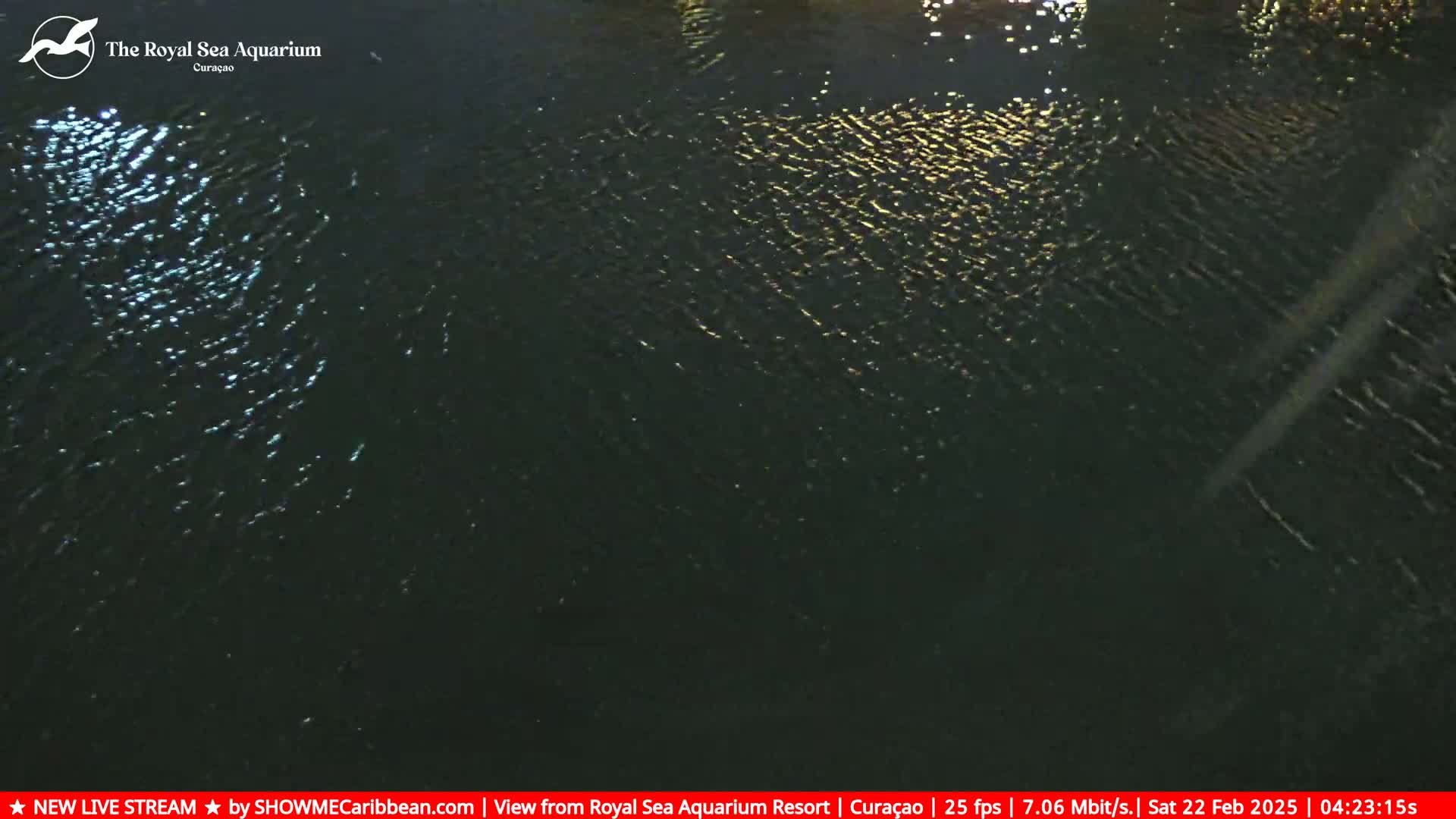 Dark water with gentle ripples is illuminated by lights reflecting on its surface at night.