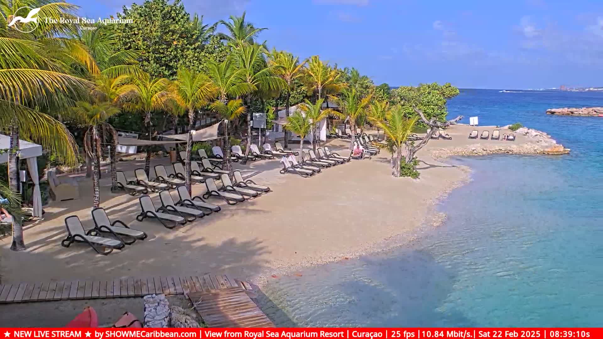 A sandy beach with lounge chairs under palm trees next to clear turquoise water on a sunny day.