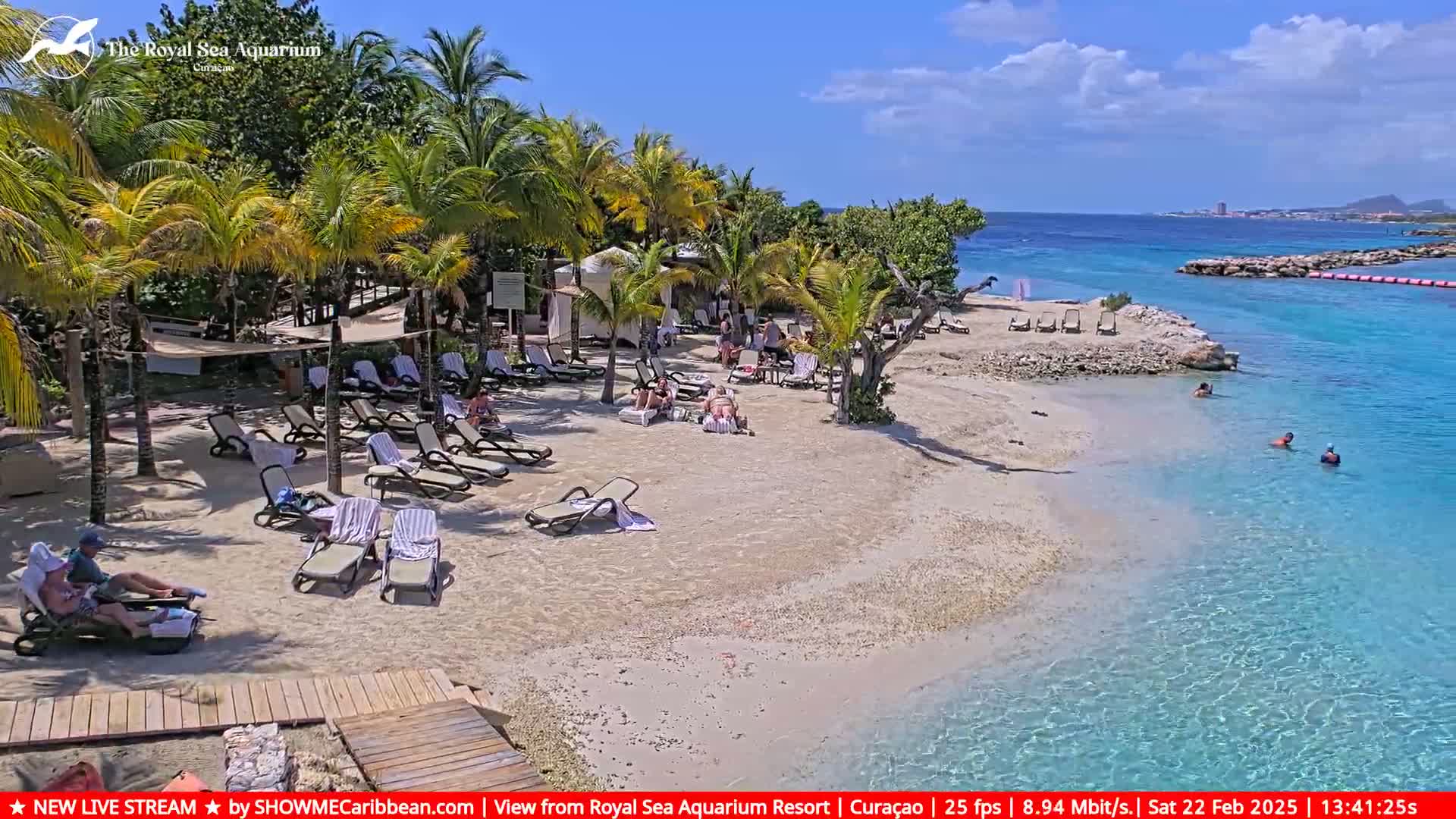 A sandy beach with lounge chairs and people relaxing under a sunny sky, next to clear turquoise water where a few people are swimming.