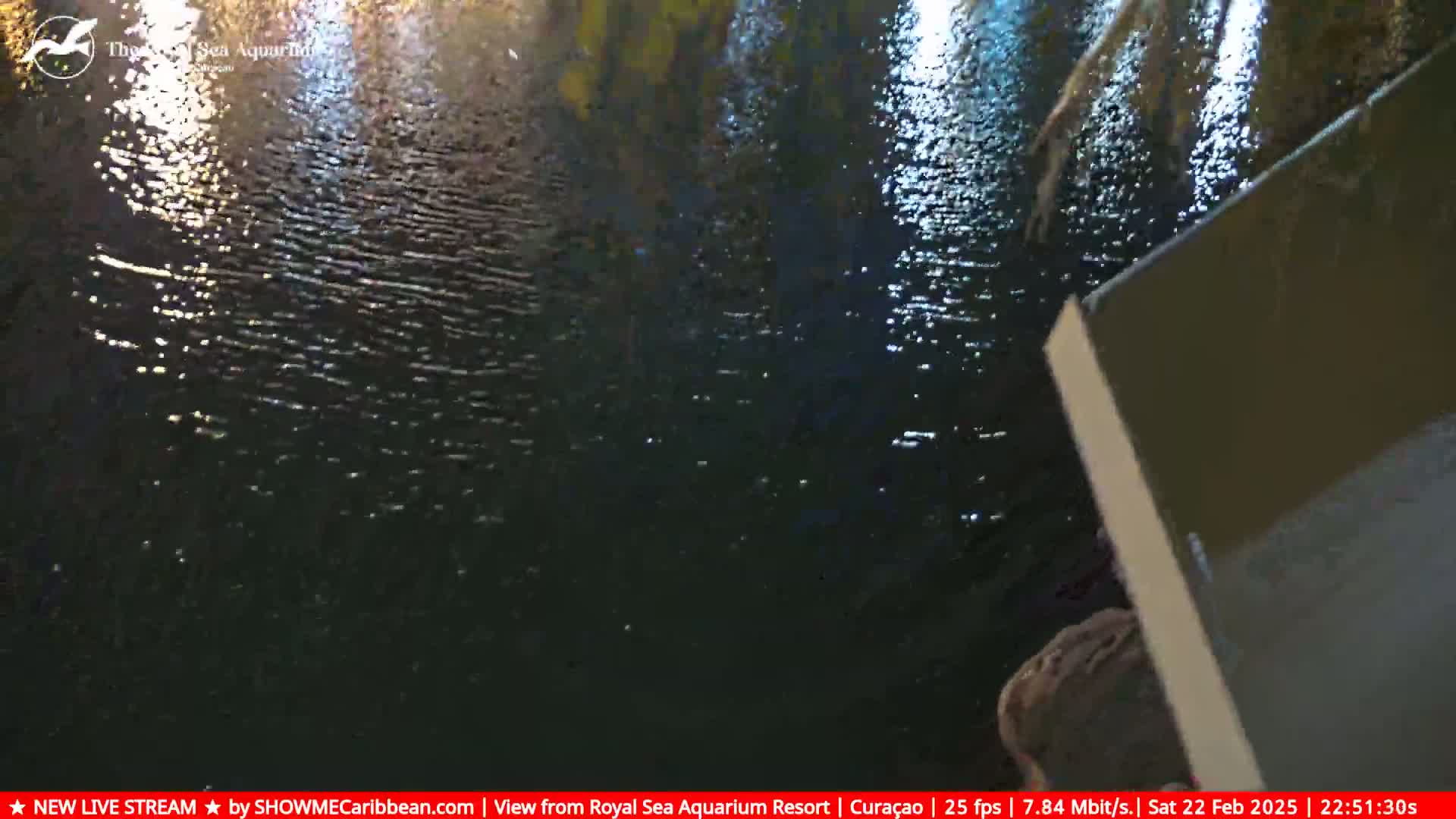 Dark, rippling water is visible at night, partially obscured by a light-colored vertical surface in the lower right corner.