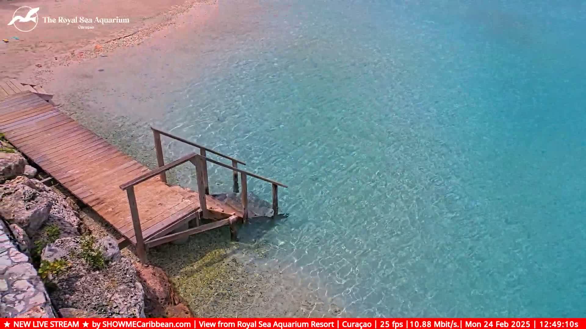 A wooden dock with steps leads down to clear, shallow, turquoise water.