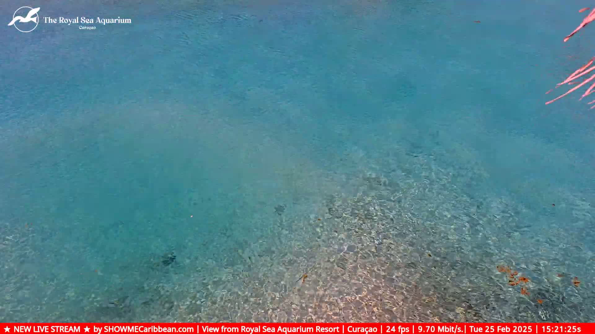Clear, shallow, turquoise water is visible, with a few small, scattered items visible on the seabed.