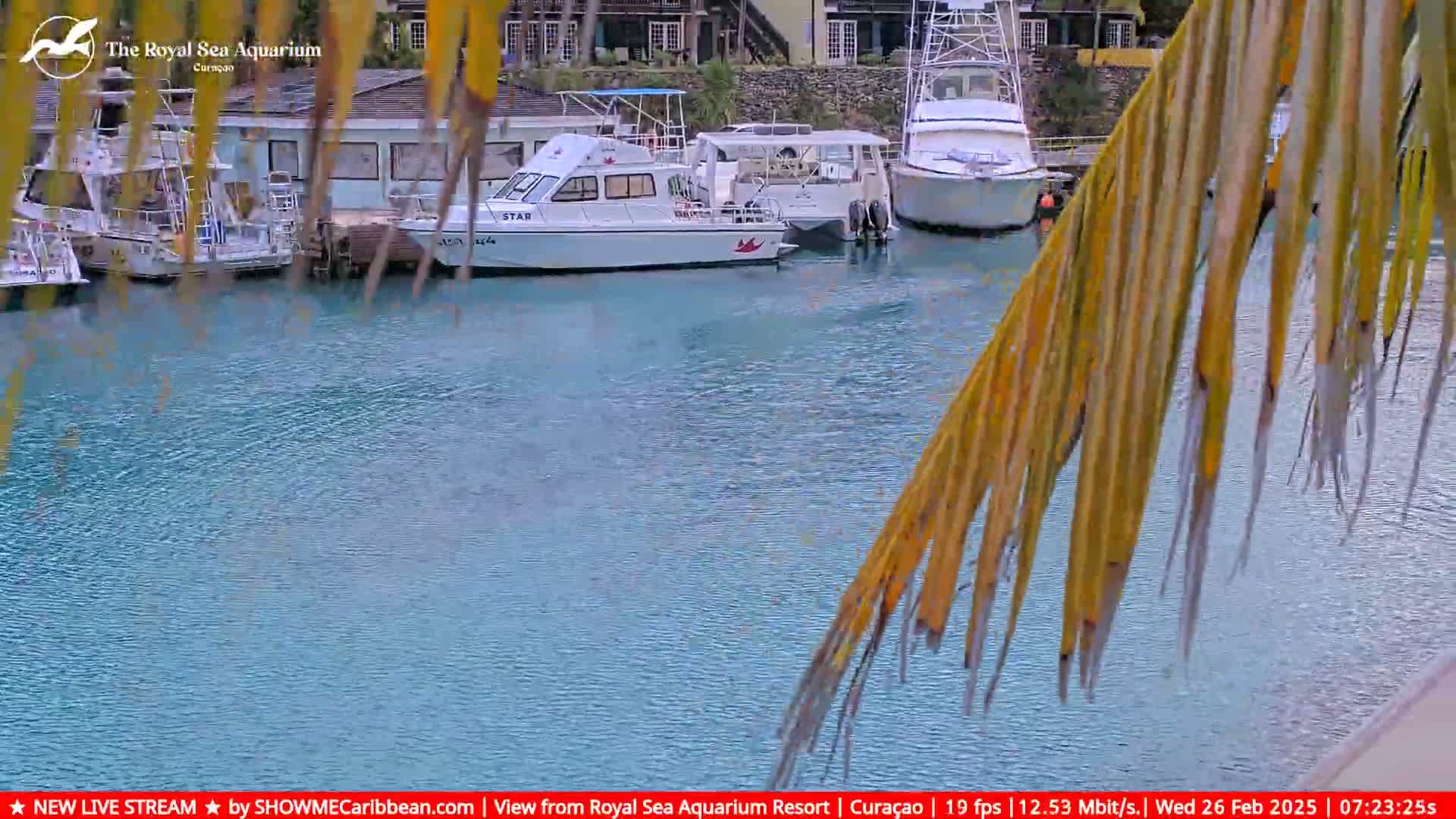 Several boats are moored in calm, turquoise water, partially obscured by palm fronds.