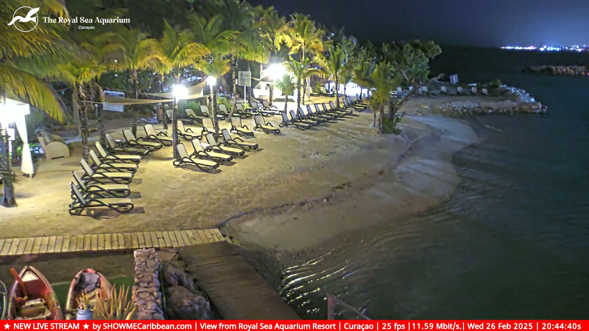 A sandy beach at night, lined with empty lounge chairs under palm trees, gently slopes down to calm dark water.