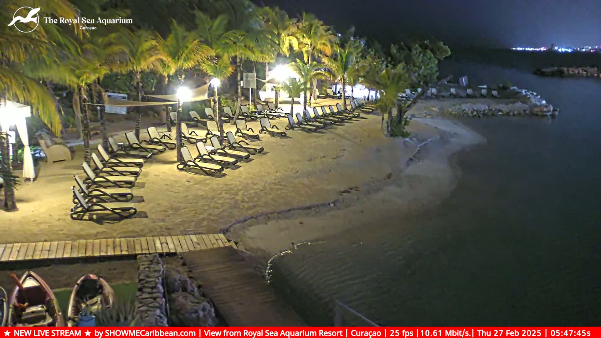A sandy beach at night, lined with empty lounge chairs under palm trees, next to calm dark water.