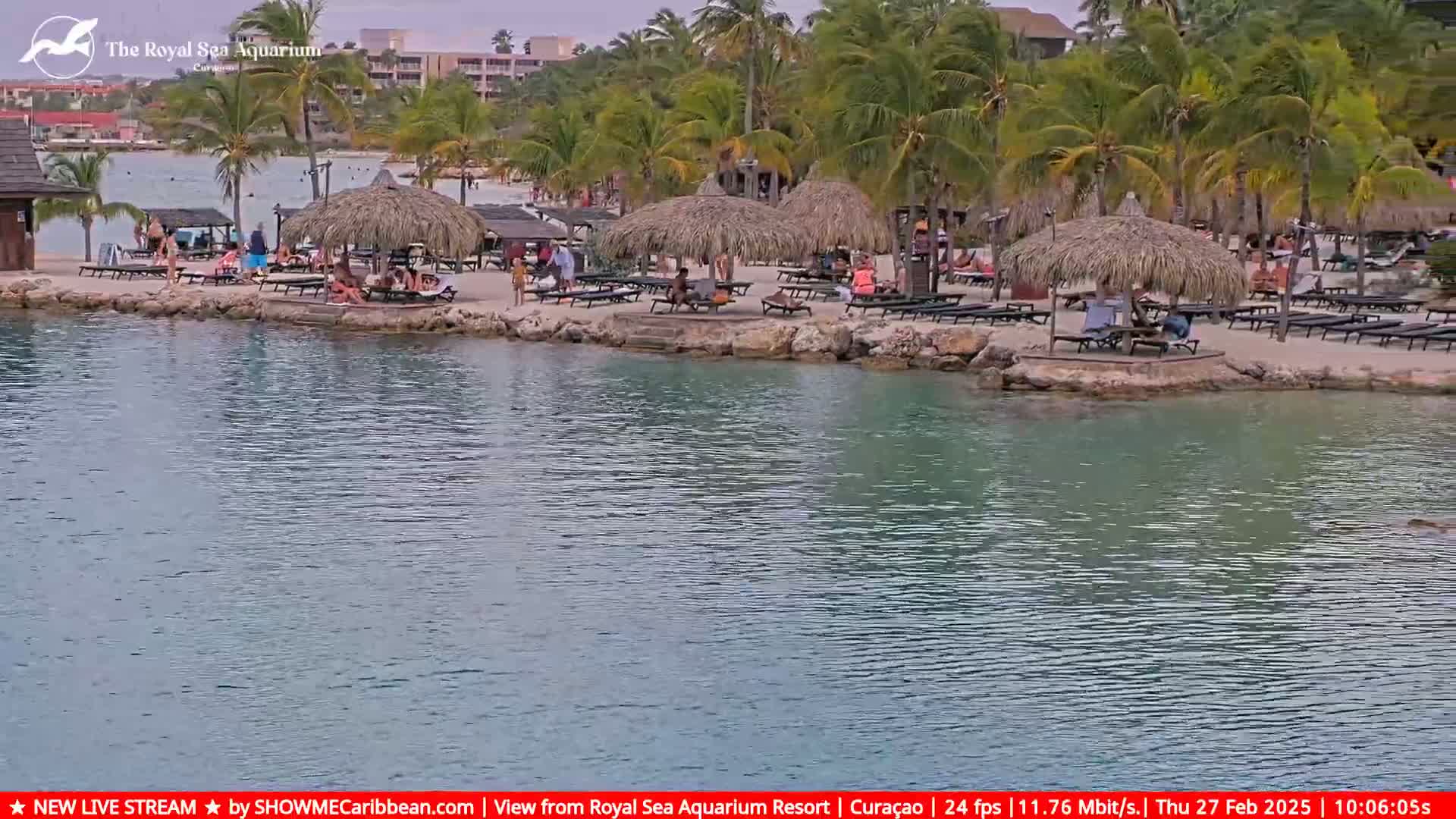 A sandy beach with thatched-roof palapas and lounge chairs is situated beside calm, turquoise water, surrounded by lush palm trees under a partly cloudy sky.