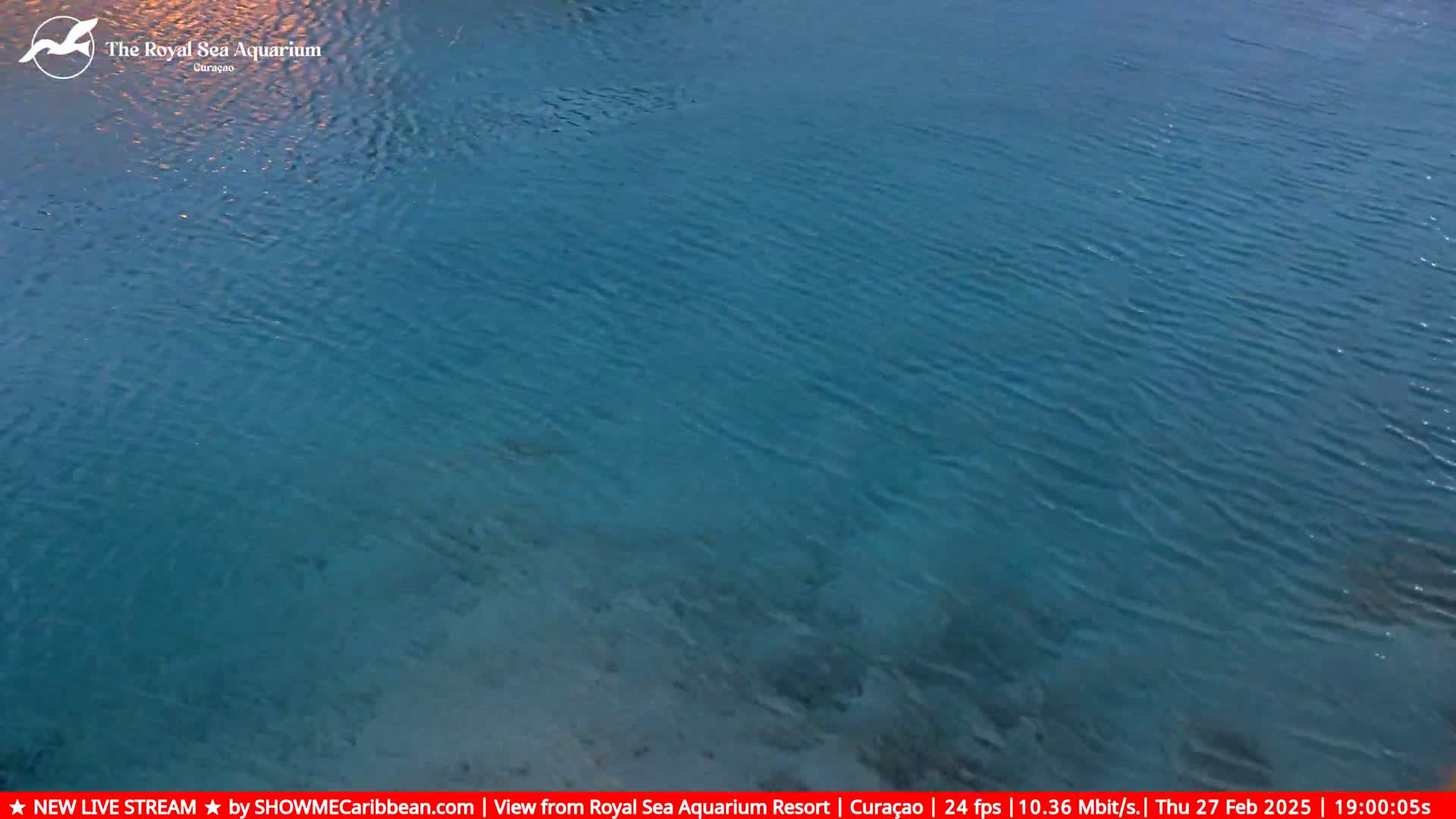 A calm, teal-colored body of water with gentle ripples on its surface is seen from an elevated perspective.