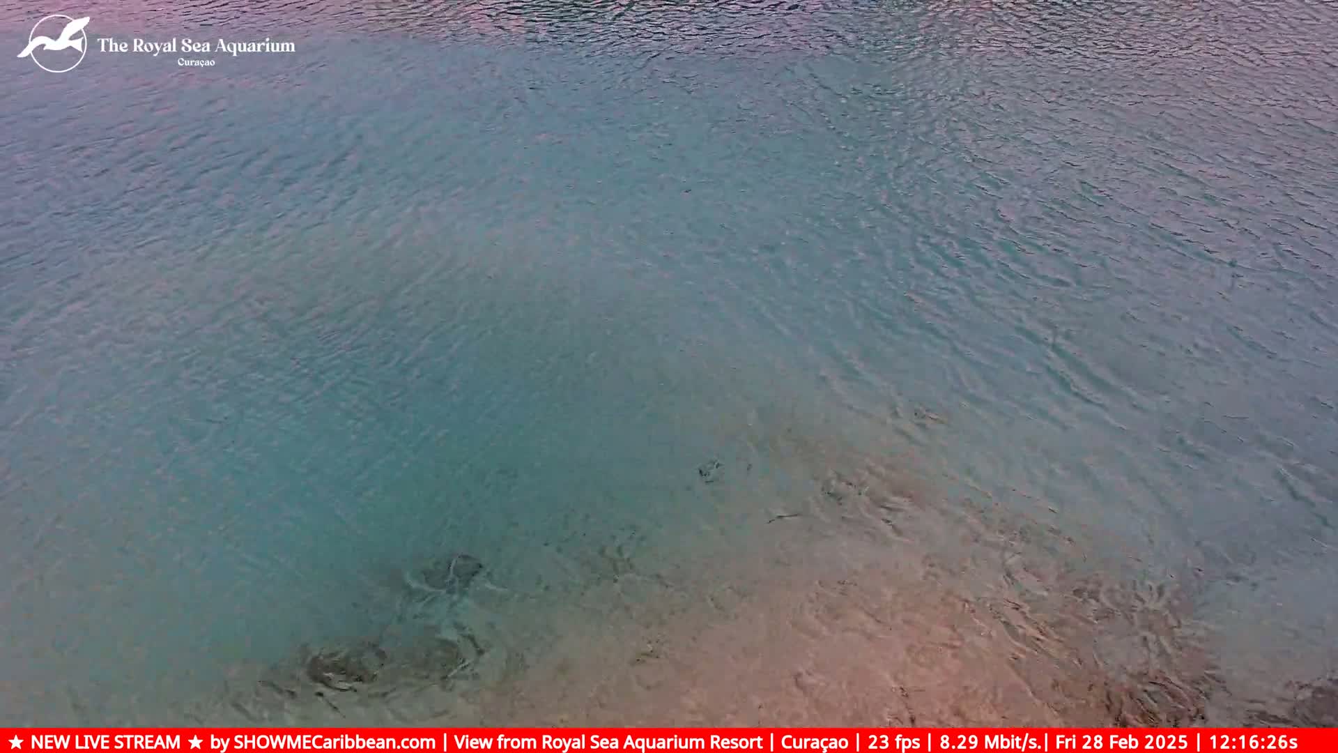 A calm body of clear, teal water shows ripples on the surface.