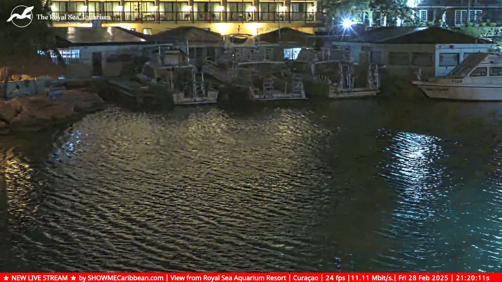 Several boats are docked at a waterfront at night, with calm water reflecting lights from nearby buildings.