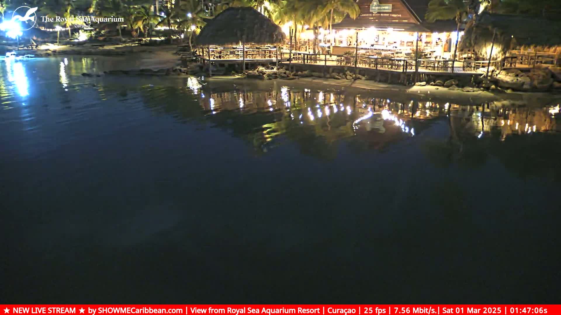 A waterfront restaurant with palm trees and lights is reflected in calm nighttime water.