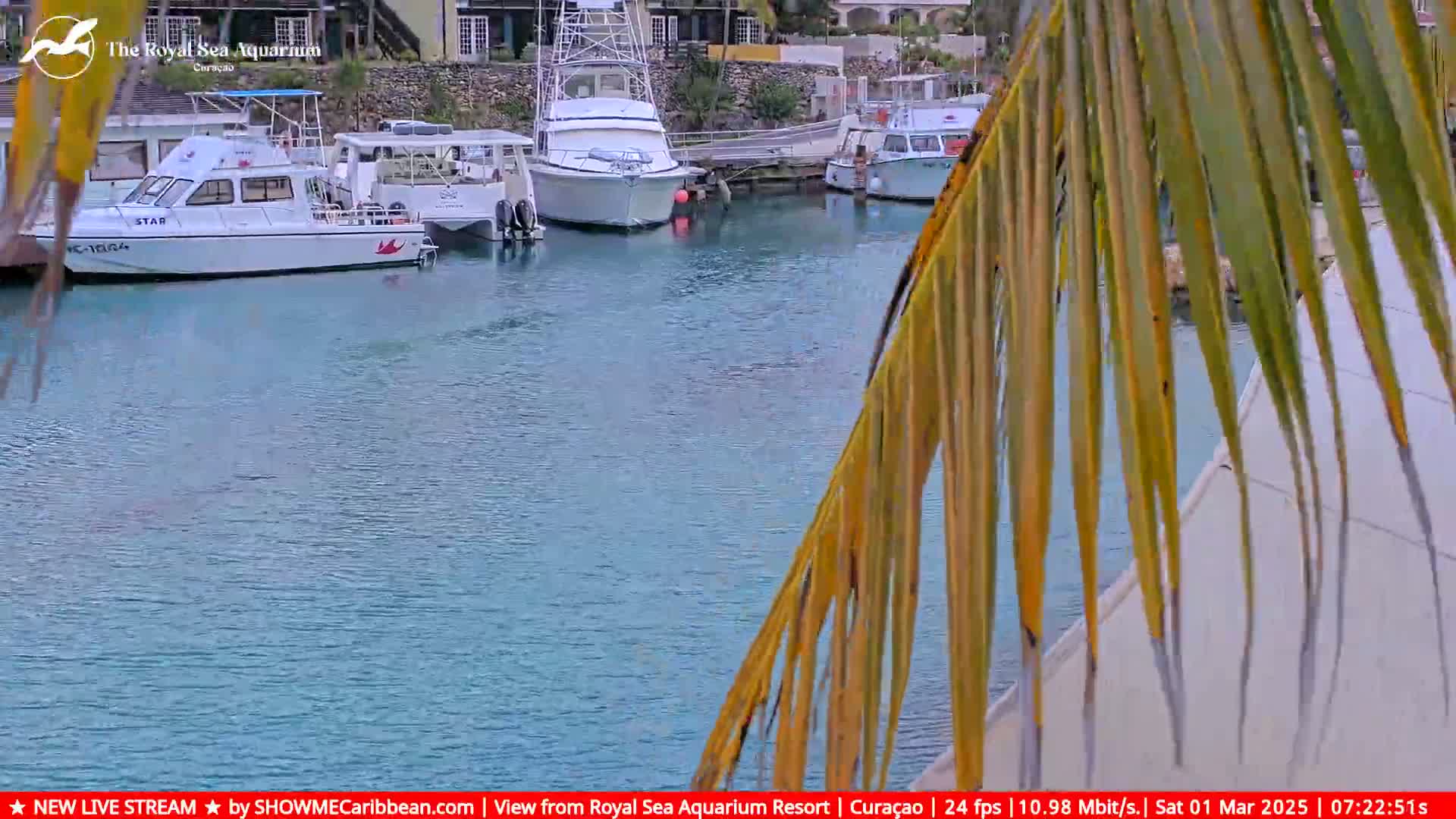 Several boats are moored in a calm, teal-colored harbor, partially obscured by a palm frond.