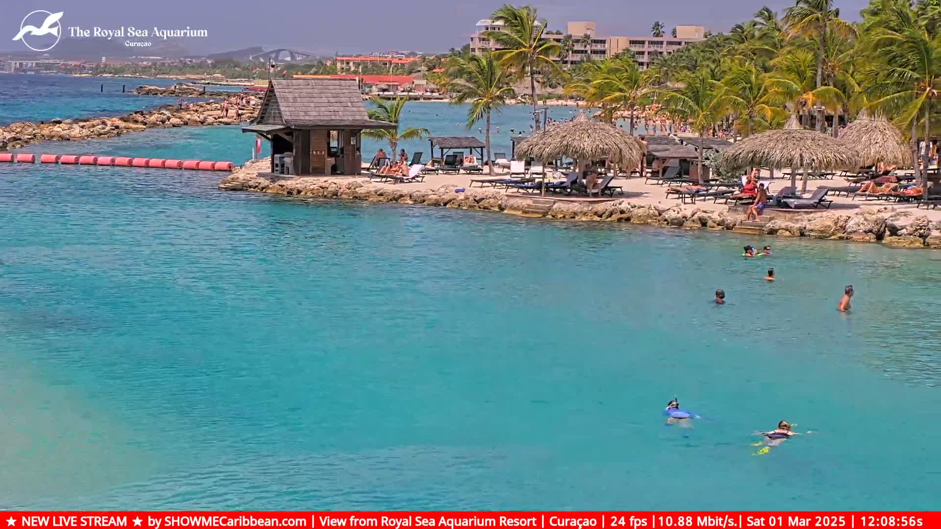 A sunny day shows a calm, turquoise body of water with people swimming and sunbathing on a beach with palm trees and thatched umbrellas.