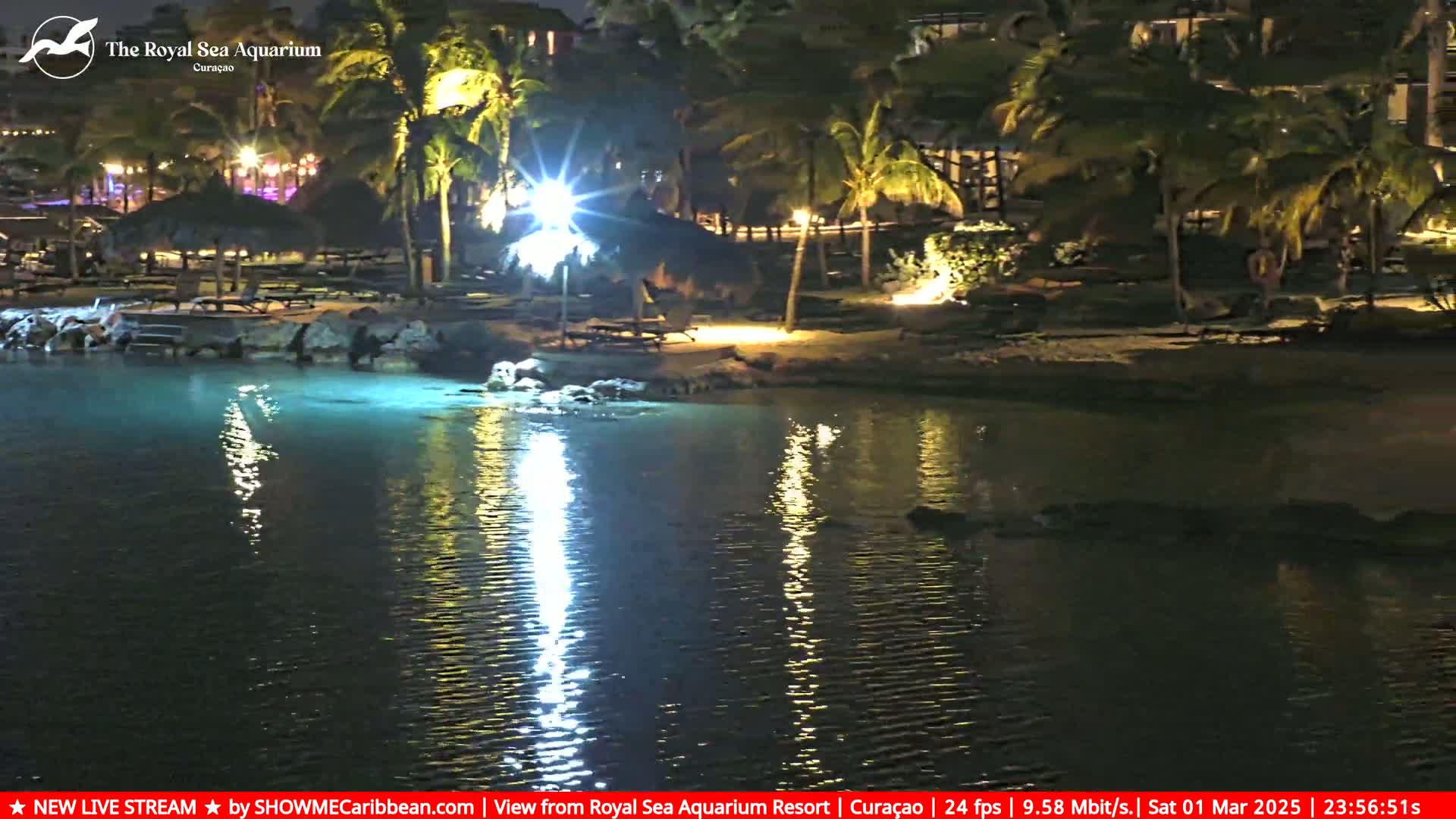 A nighttime view of a calm body of water illuminated by lights, next to a sandy shore lined with palm trees and outdoor seating areas.