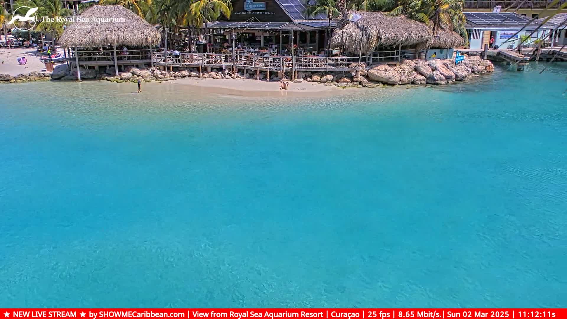 A beachfront restaurant with a thatched roof sits on a small, sandy beach next to clear, turquoise water on a sunny day.