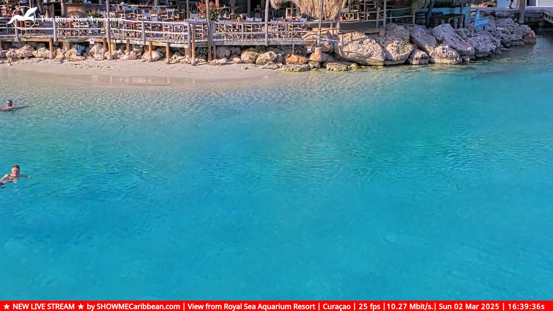 Two people swim in clear, bright blue water near a sandy beach and a wooden structure.
