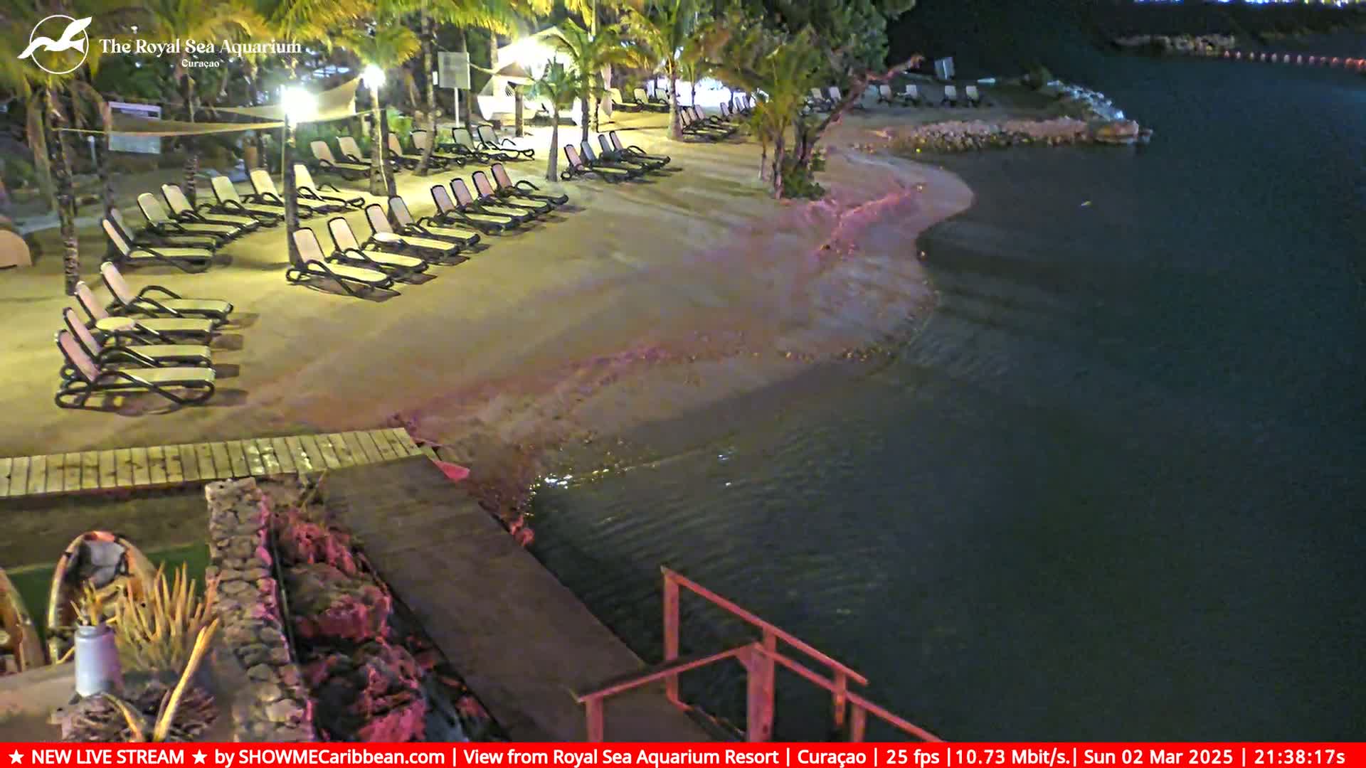 Empty lounge chairs are arranged on a sandy beach at night next to dark water, under palm trees and ambient lighting.