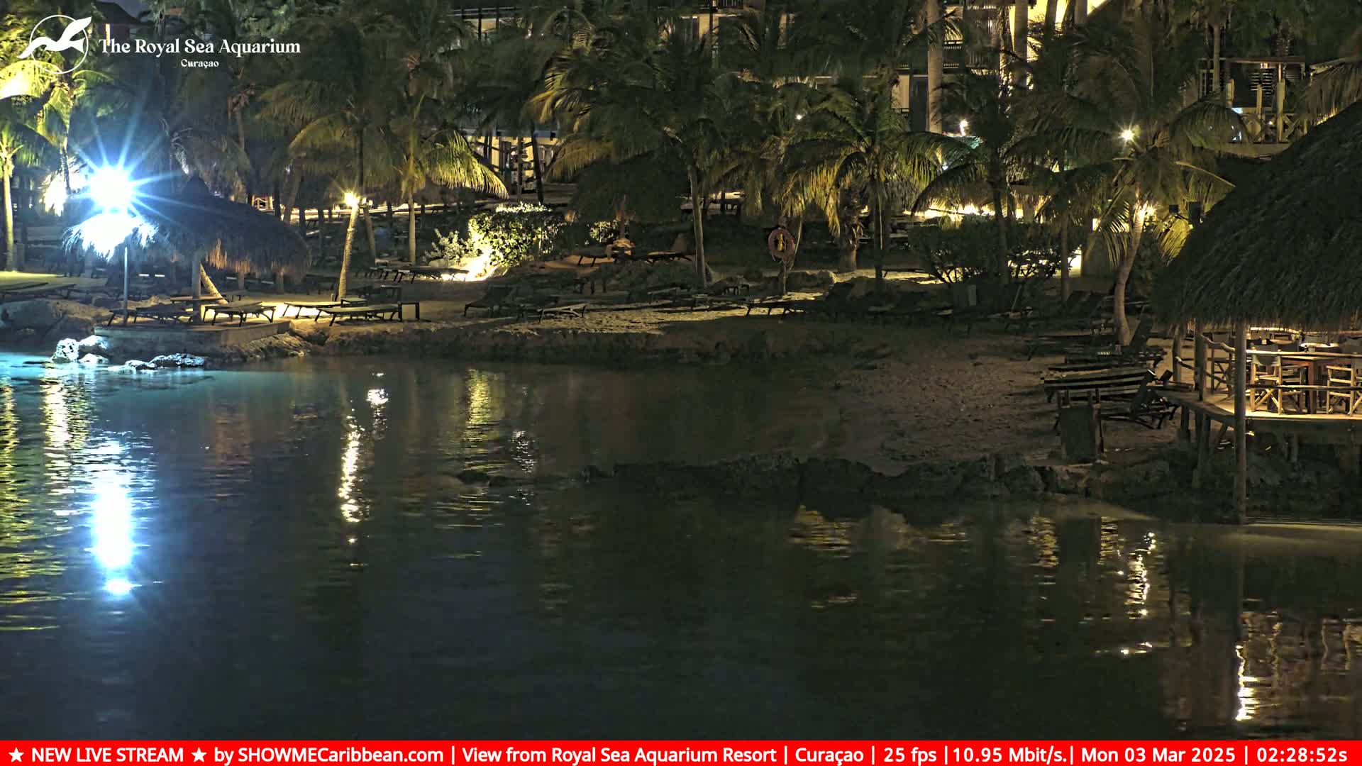 A nighttime view of a calm body of water reflecting lights from a beach with palm trees, lounge chairs, and thatched-roof structures.