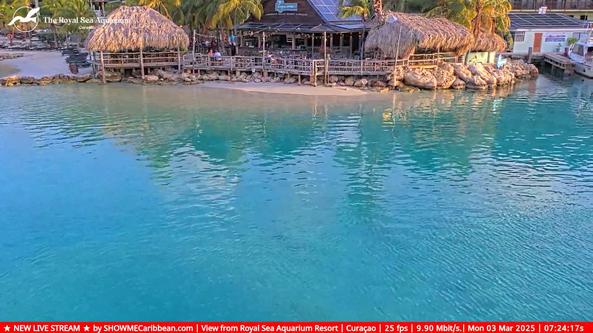 A beachfront bar with thatched roofs sits on a small sandy beach next to calm, turquoise water.