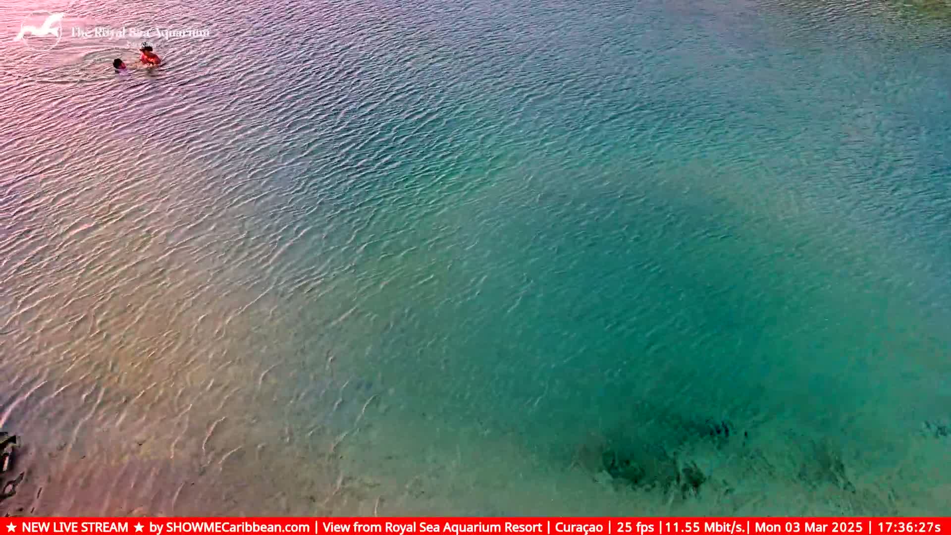 Two people swim in calm, shallow, teal-colored water.