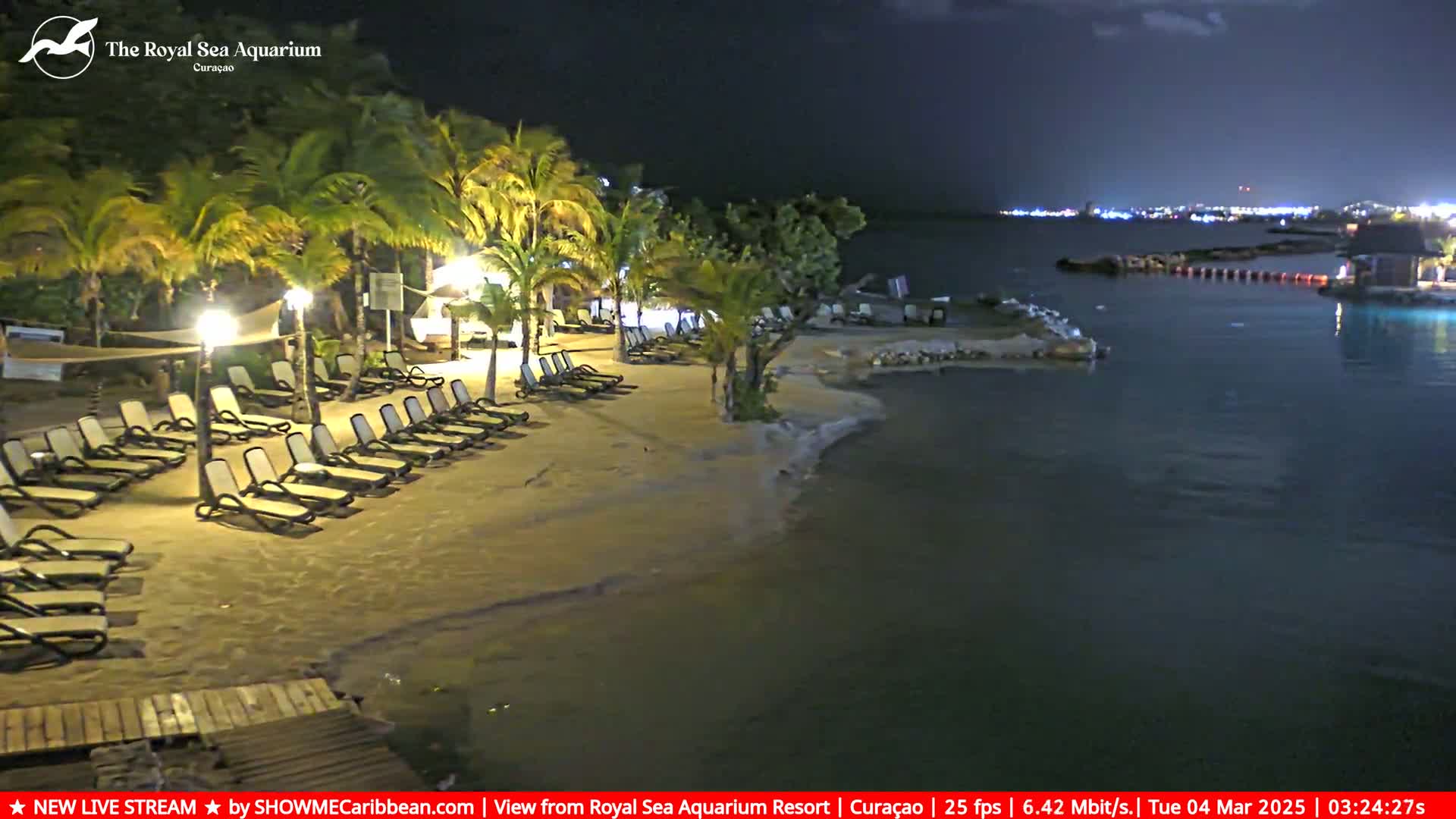 A nighttime beach scene shows empty lounge chairs on a sandy shore next to calm water, illuminated by lights under a dark sky.