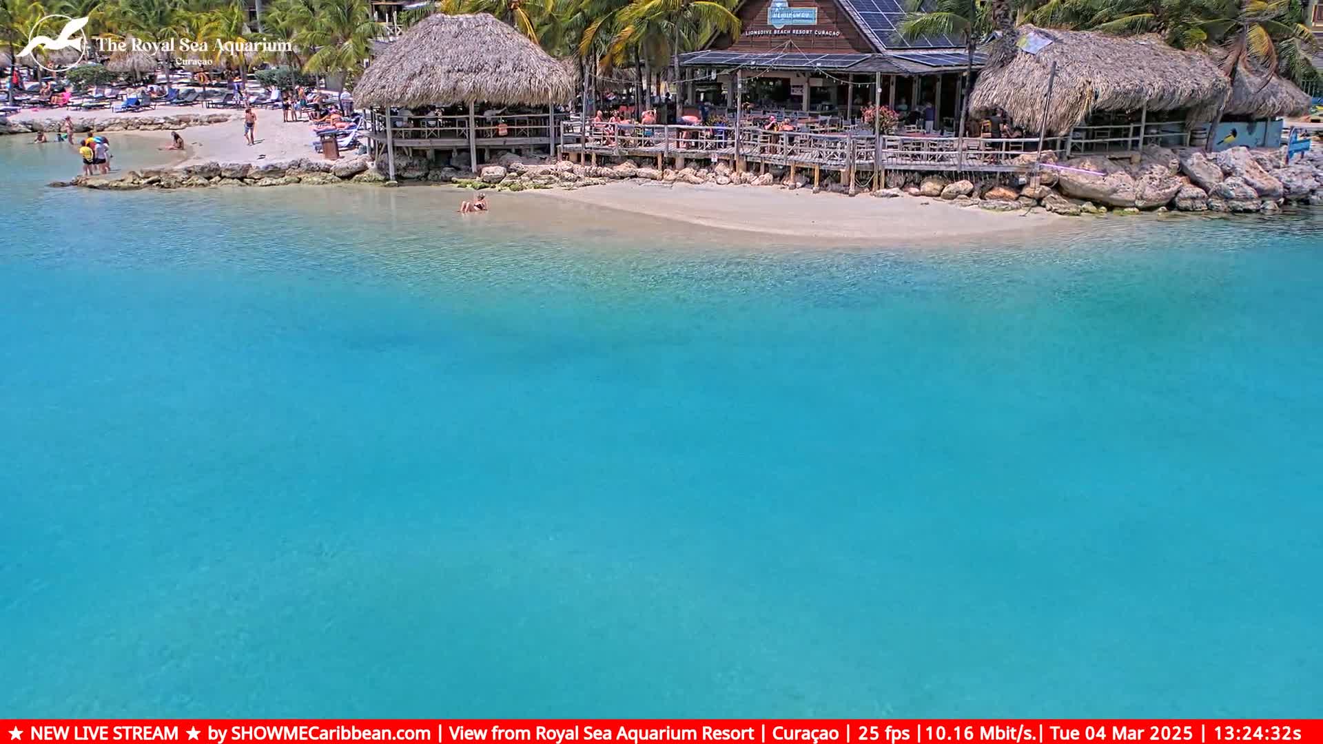 A beach with turquoise water, palm trees, and several thatched-roof structures with people relaxing on the sand.