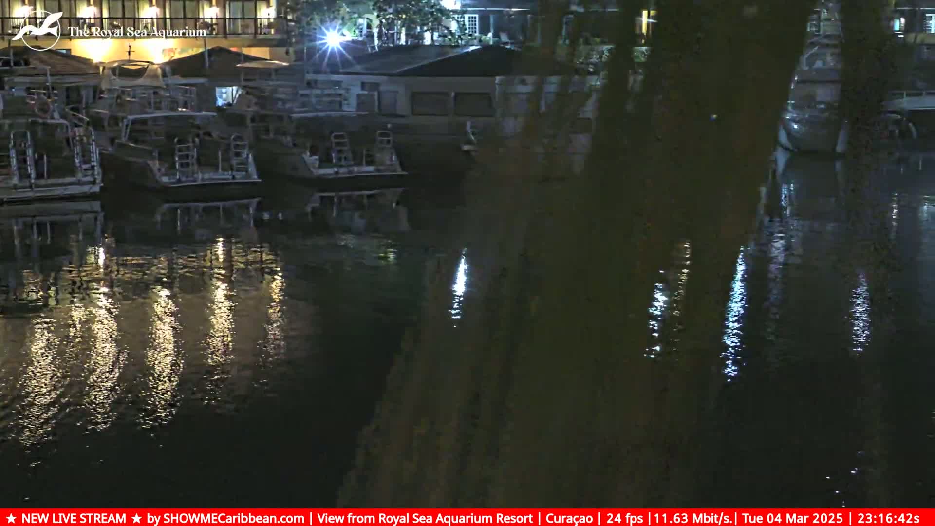 Several boats are moored at a dock at night, their reflections shimmering on the calm water.
