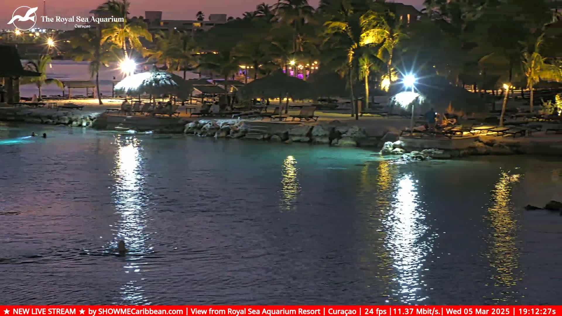 A calm body of water at night reflects the lights from a beachside resort with palm trees and thatched umbrellas.
