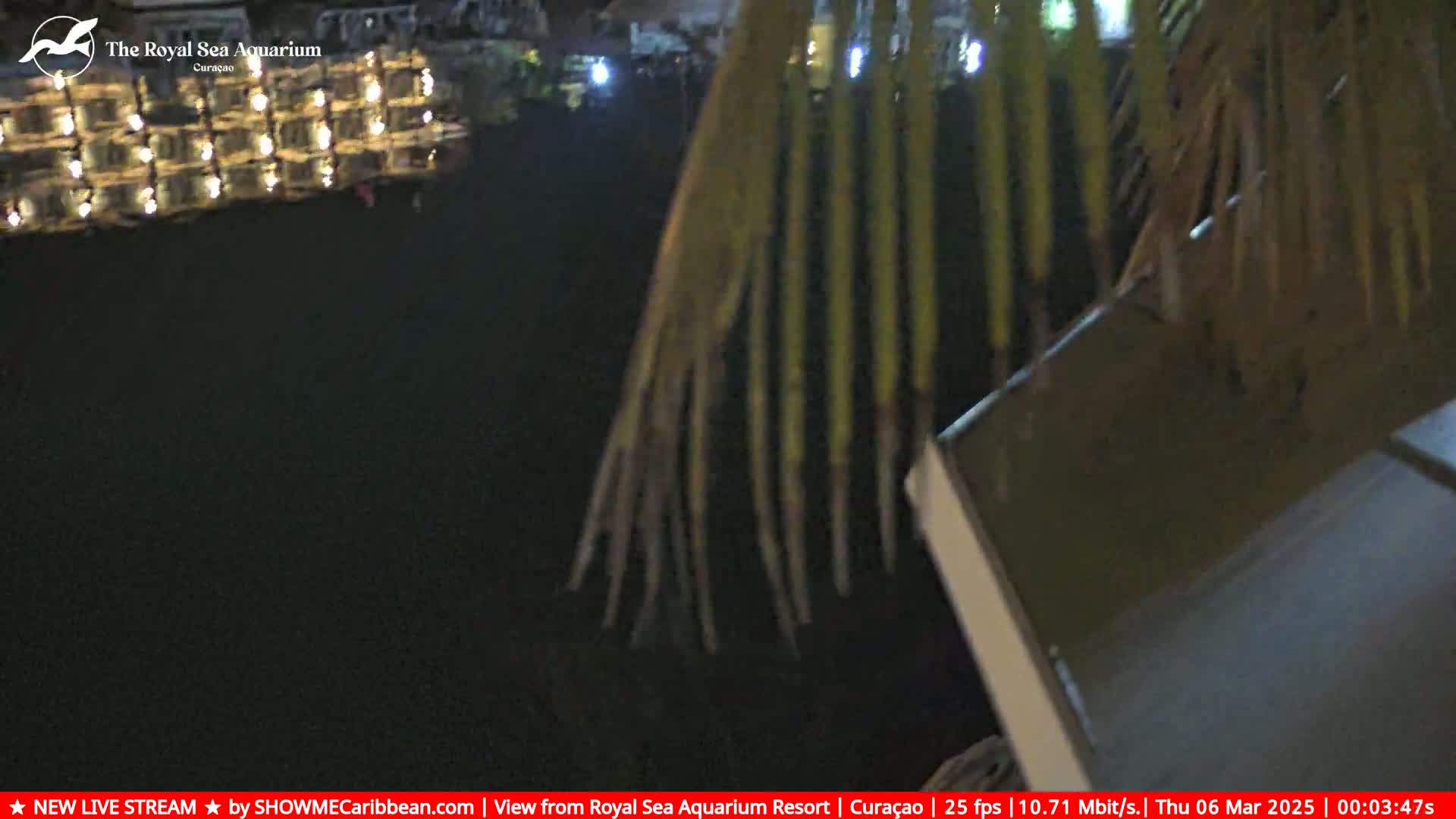 A nighttime, dark outdoor scene shows a body of water reflecting lights, partially obscured by palm fronds.