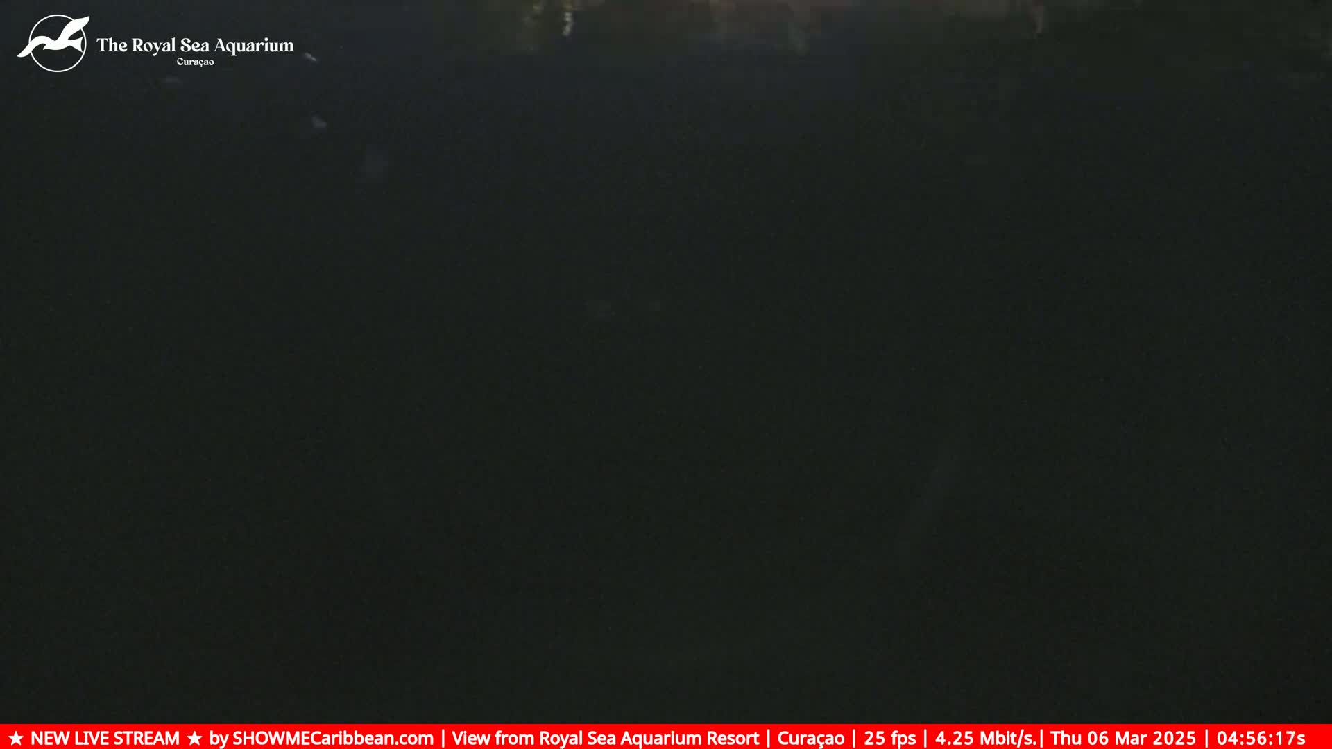 A completely dark image is shown, possibly taken at night.