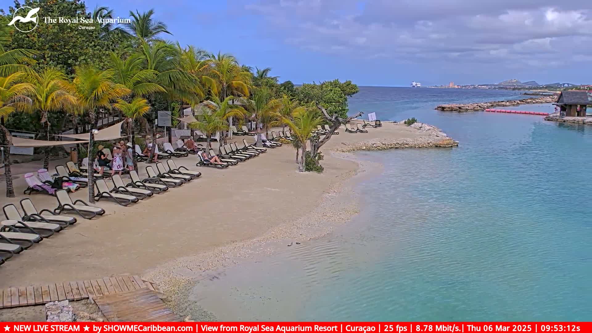 A sandy beach with lounge chairs and palm trees under partly cloudy skies, next to calm turquoise water with a cruise ship visible in the distance.