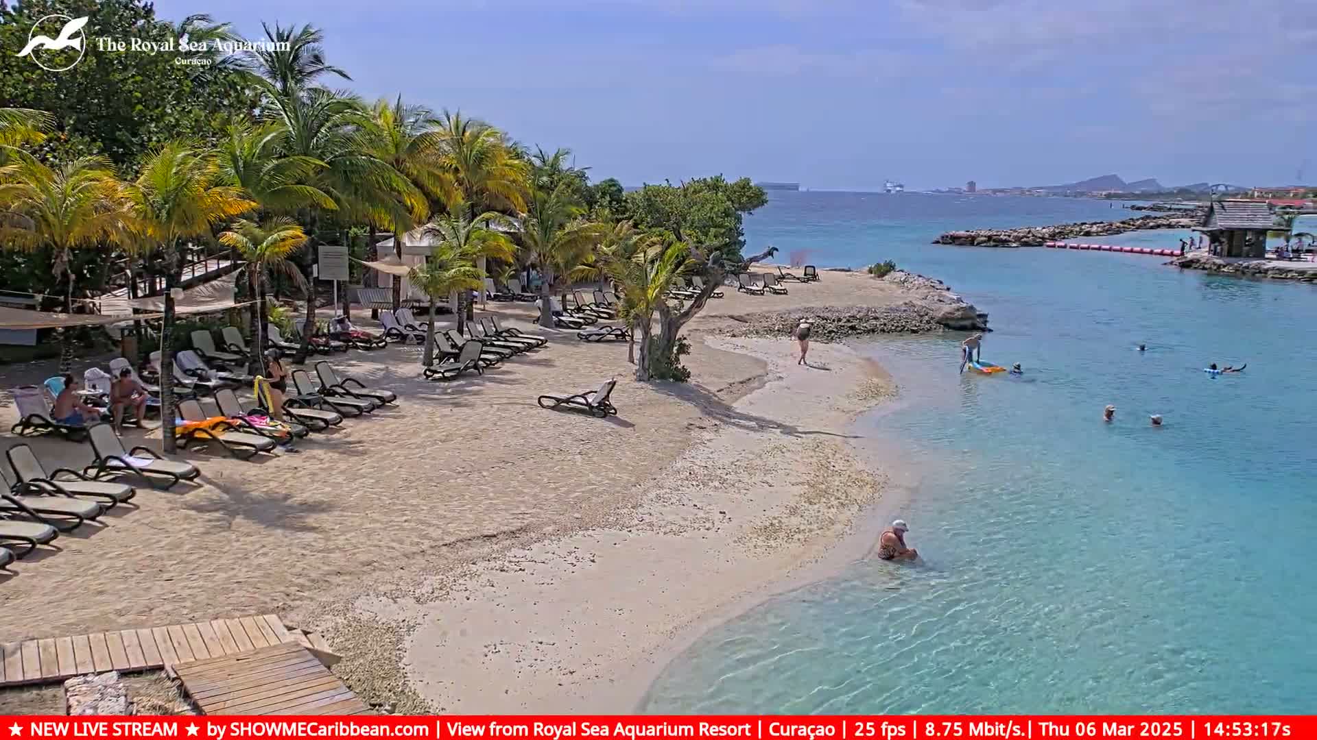 A sandy beach with lounge chairs and palm trees, bordering calm, clear turquoise water where people are swimming and relaxing under a sunny sky.