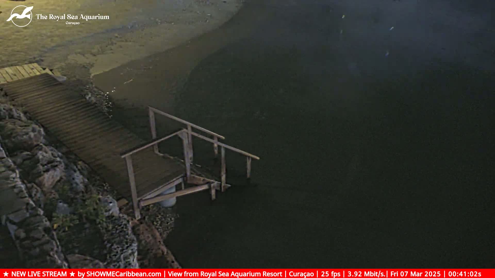 A wooden dock with steps leading down into dark, still water at night.