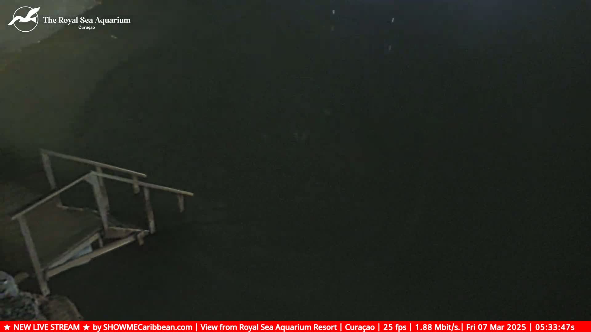 A dark body of water is seen at night with a wooden staircase leading down into it.