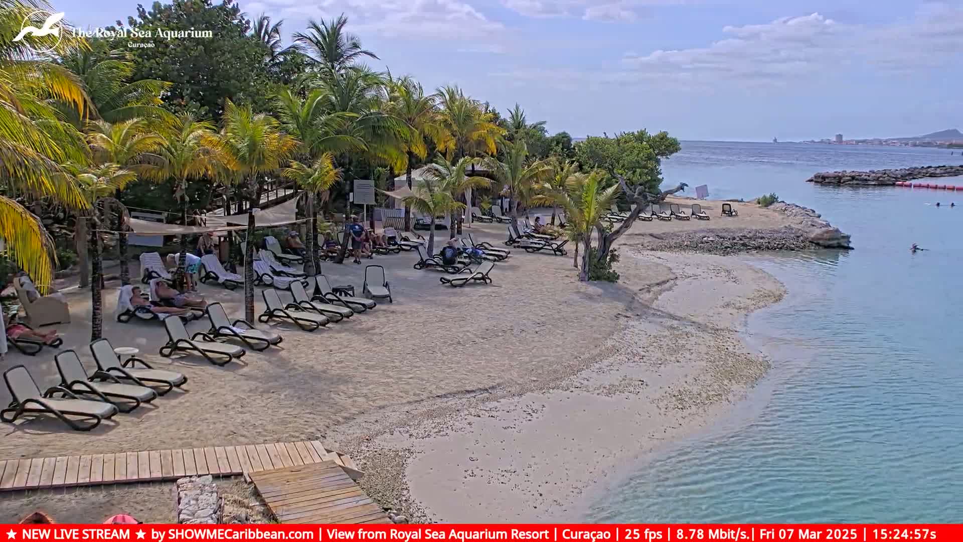 A sandy beach with lounge chairs and palm trees under a partly cloudy sky, next to calm blue water.
