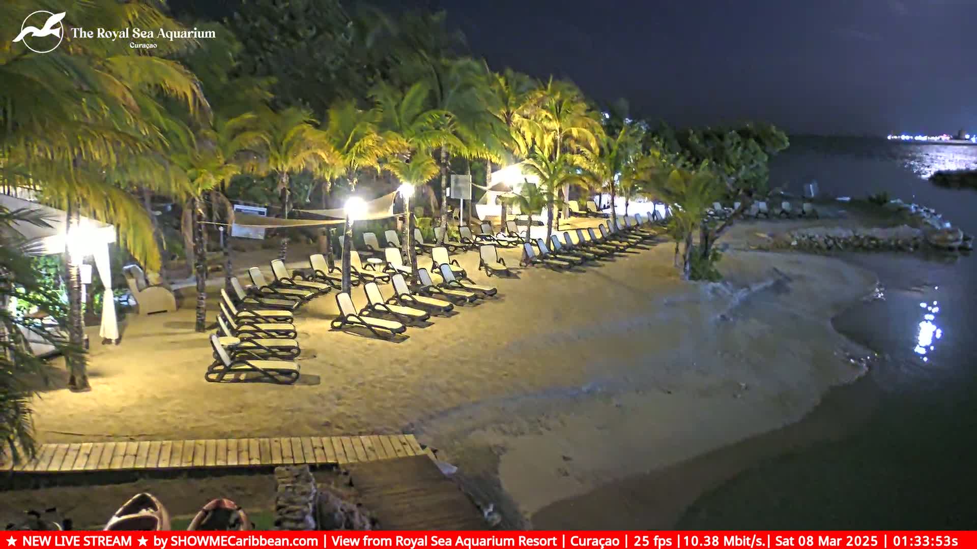 Empty lounge chairs are arranged on a sandy beach at night, illuminated by artificial lights, next to calm water under a clear, dark sky.