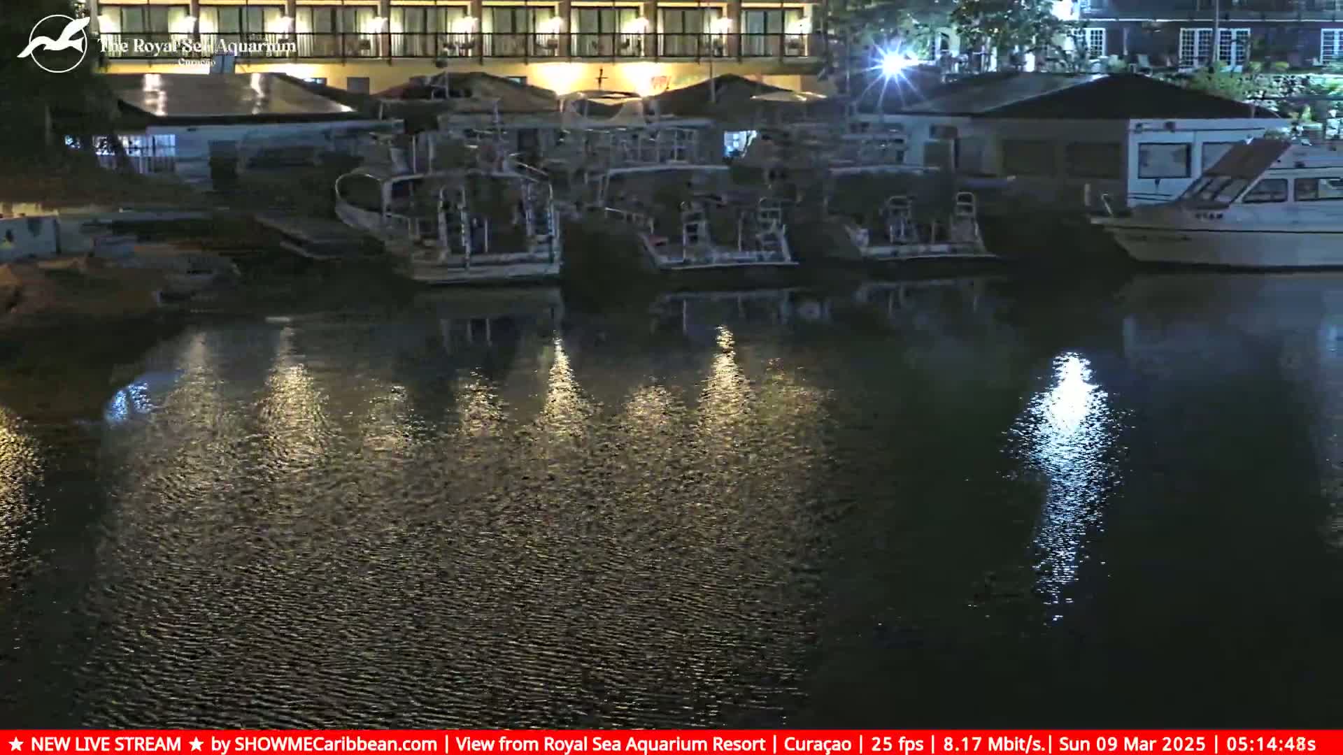 Several boats are moored at a dock at night, their reflections shimmering on the dark water.