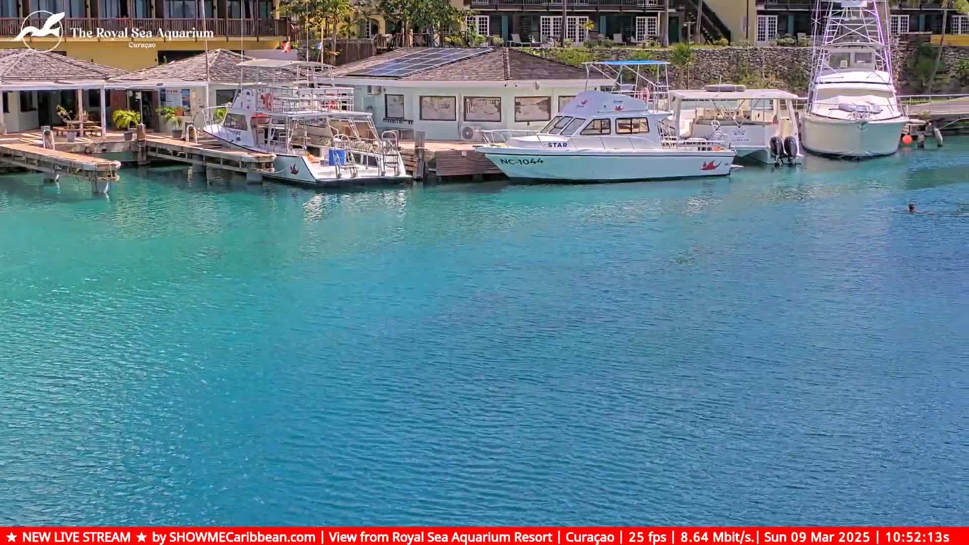 Several boats are docked at a marina with turquoise water on a sunny day.
