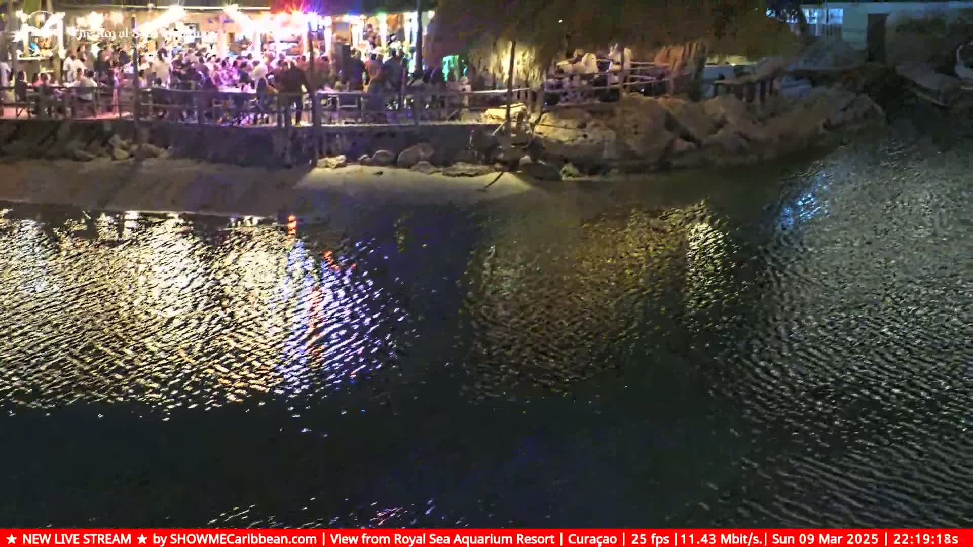 A nighttime view of a waterfront restaurant with many patrons, illuminated by lights, overlooking a calm body of water.
