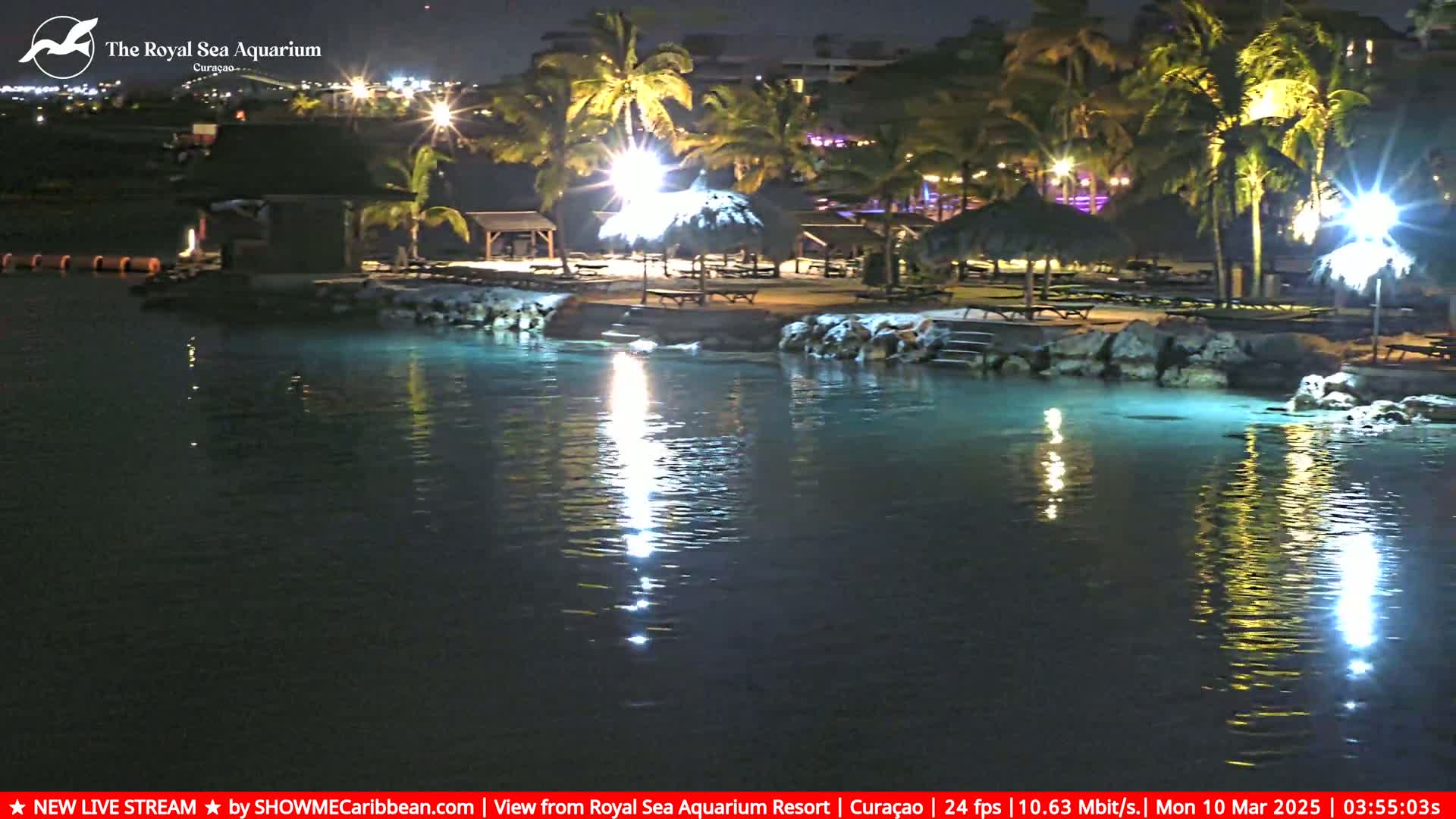 A nighttime view of a calm body of water reflecting the lights of a tropical resort with palm trees and thatched-roof structures.